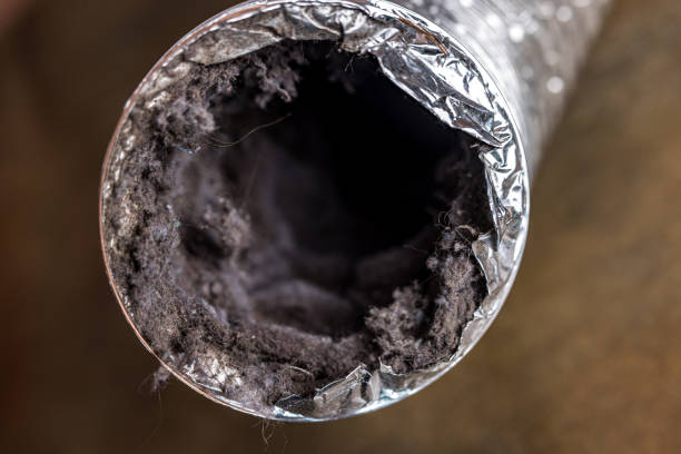 Best HVAC System Cleaning  in Pacheco, CA
